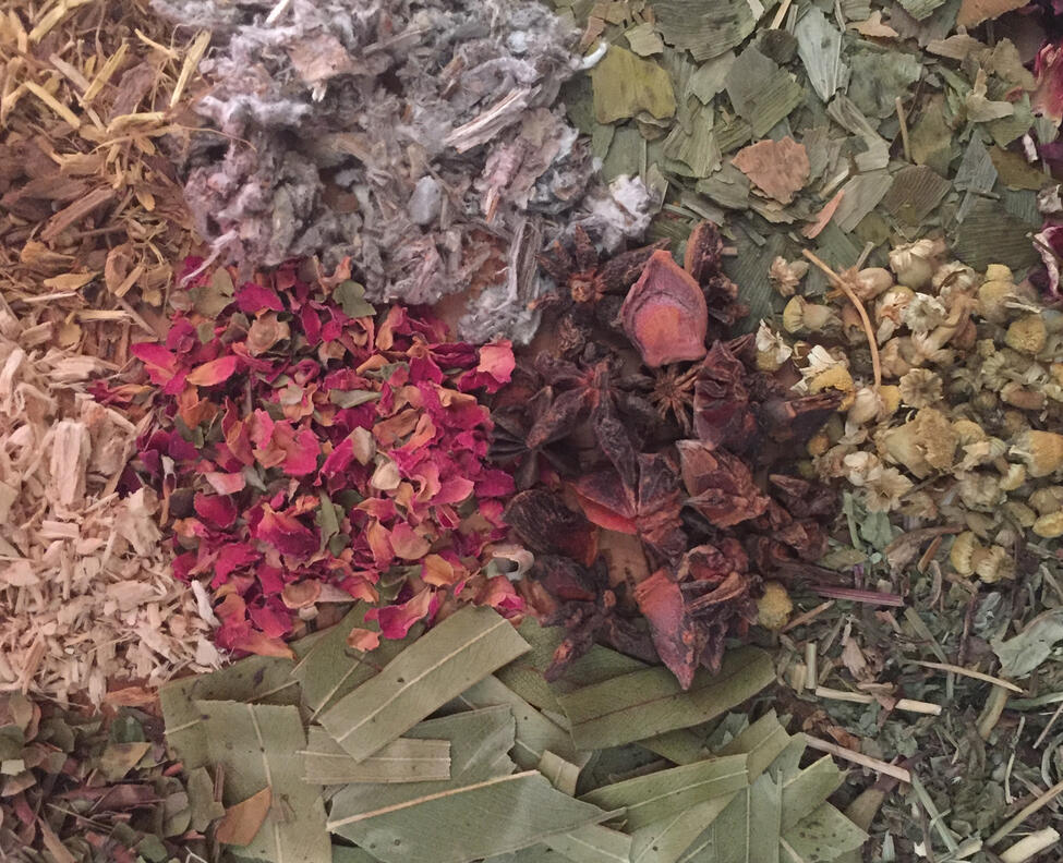 fitoterapia plantas medicinais, plantas terapêuticas